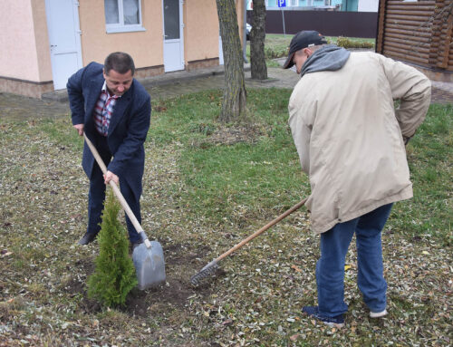 Благоустрій на завершальному етапі – у ЦМЛ висадили алею з туй