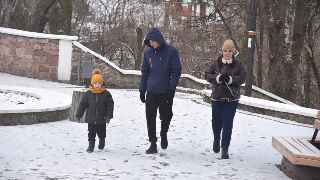 парк древлянський зима