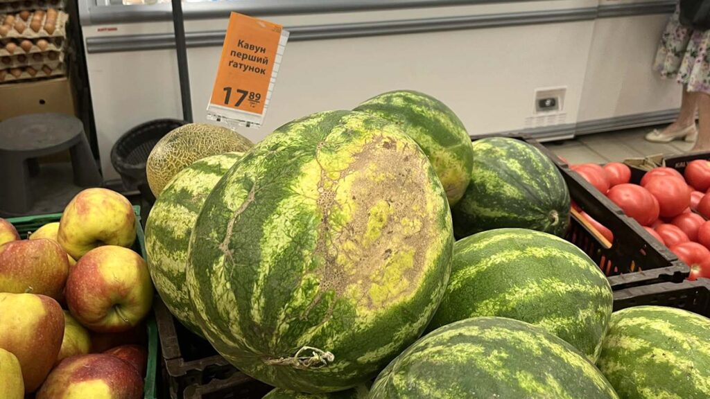ціни на кавуни коростень