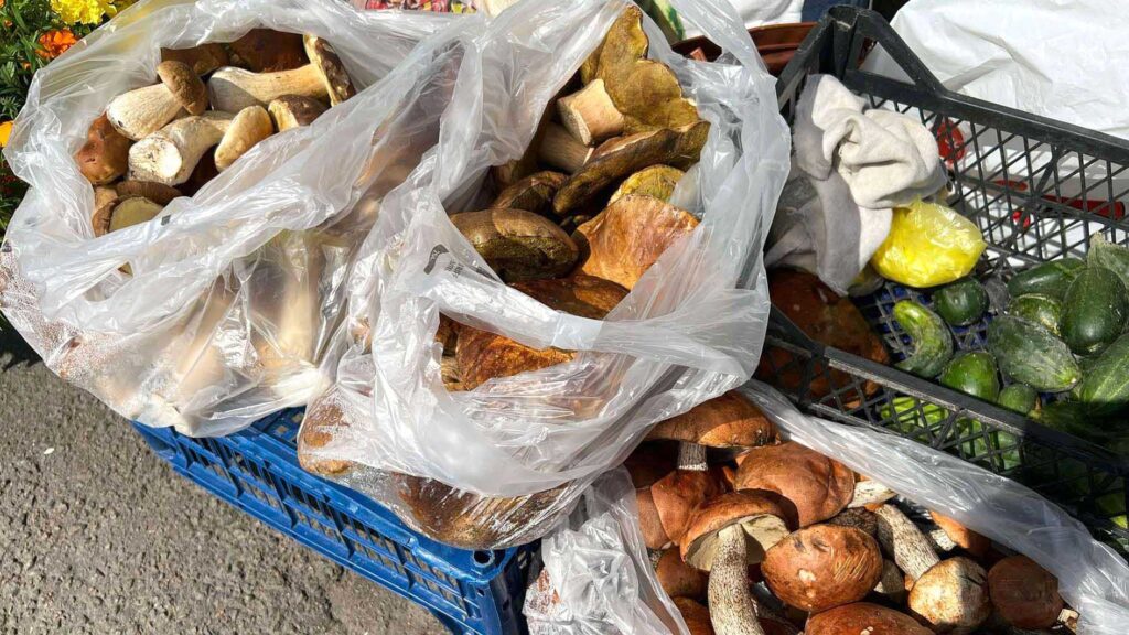 3b23f91 тихе полювання коростень