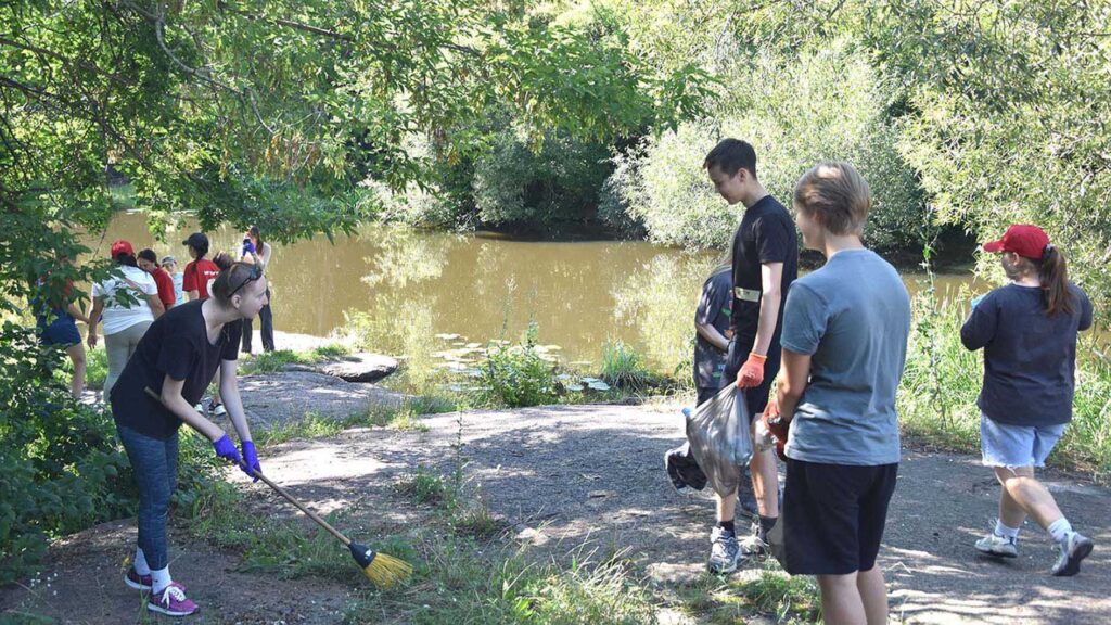 толока колаба коростень