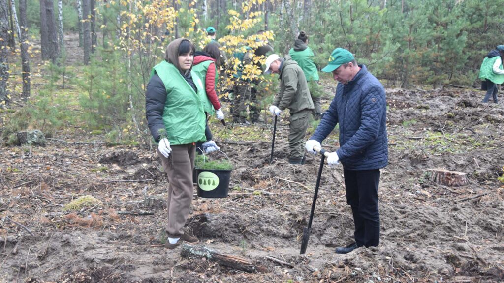 садіння лісу 2025 коростень