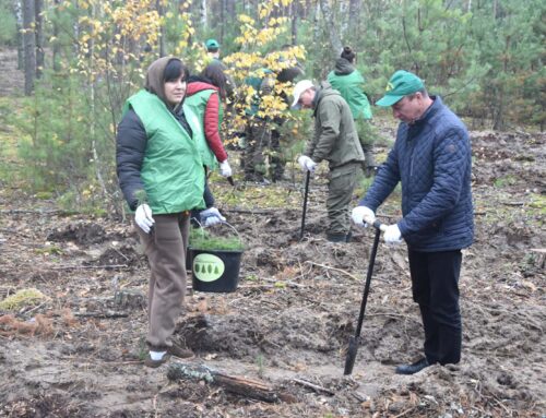 У Коростенському лісництві висадили понад 2500 дерев