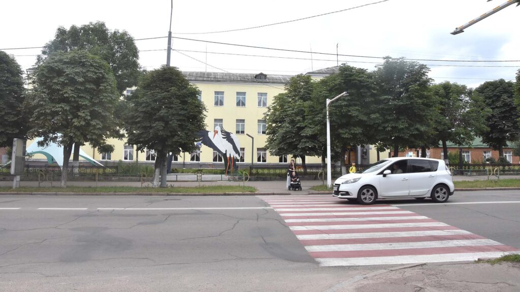 берлінські подушки коростень