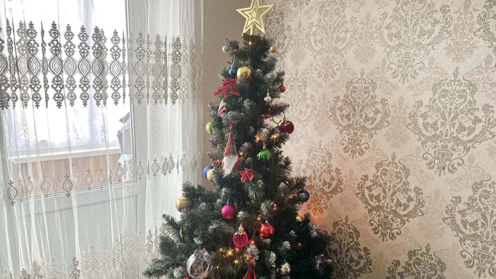 безпечне свято коростень