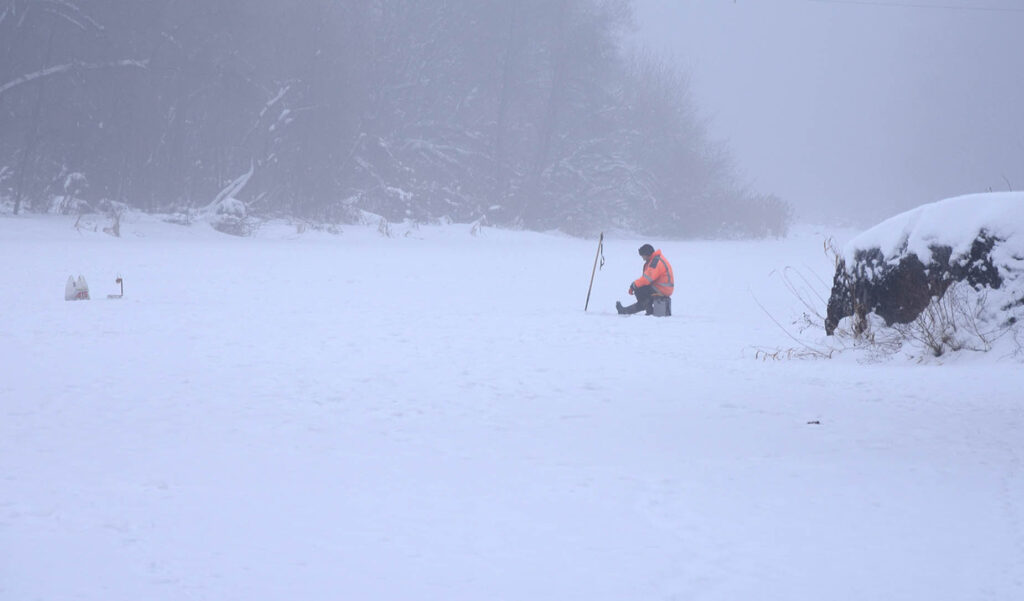 міщук лід2 коростень