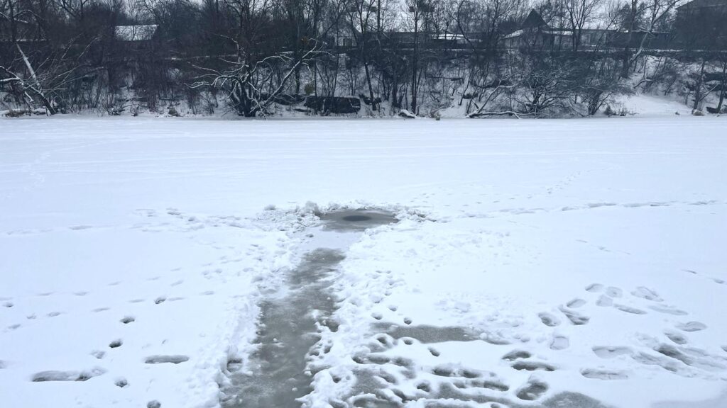 viber47036426 тонка крига коростень