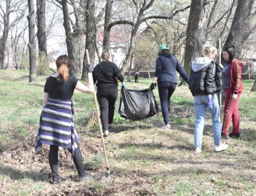 Чи відбудеться у місті традиційна весняна толока