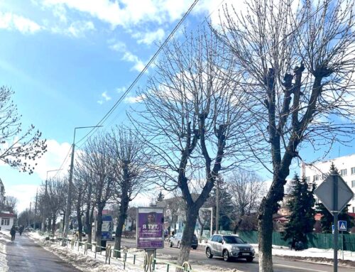 КВГП про кронування та зрізання дерев у Коростені
