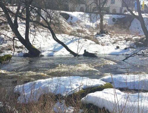 Сезонні зміни та стан води у Коростені