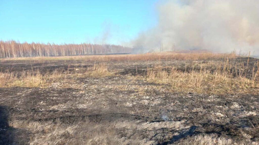 пожежі березень2026 коростень