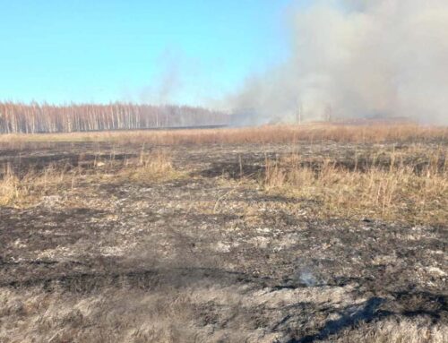 У Коростенській громаді знову фіксують пожежі в екосистемах