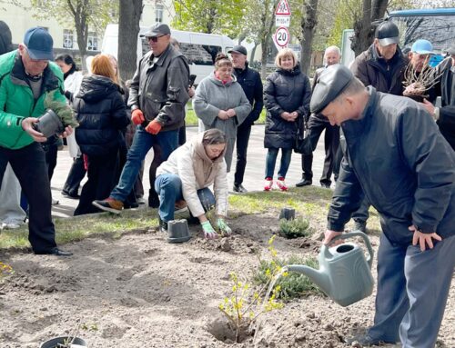 На Алеї слави героїв-ліквідаторів висадили квіти пам’яті