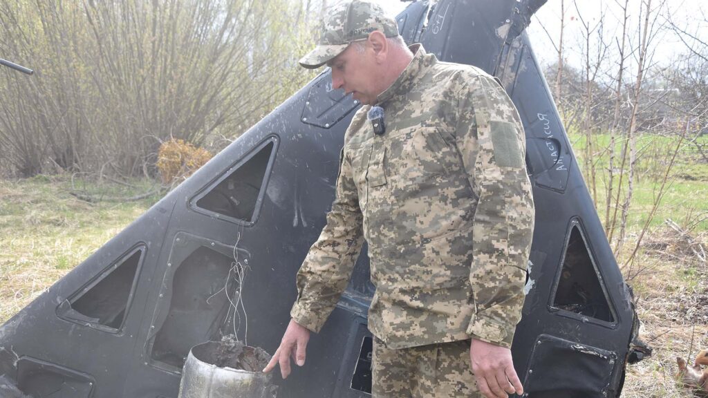 герань2026 коростень