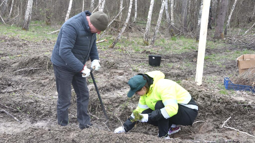 ліс2026 коростень