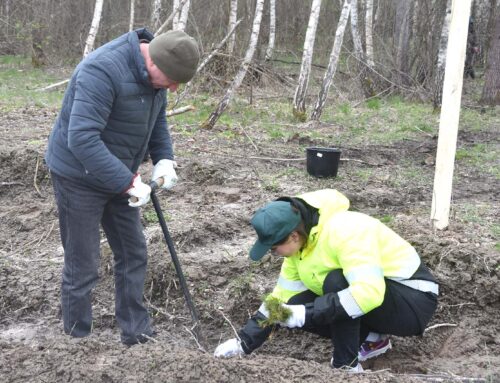 Працівники виконкому долучилися до акції з відтворення лісів