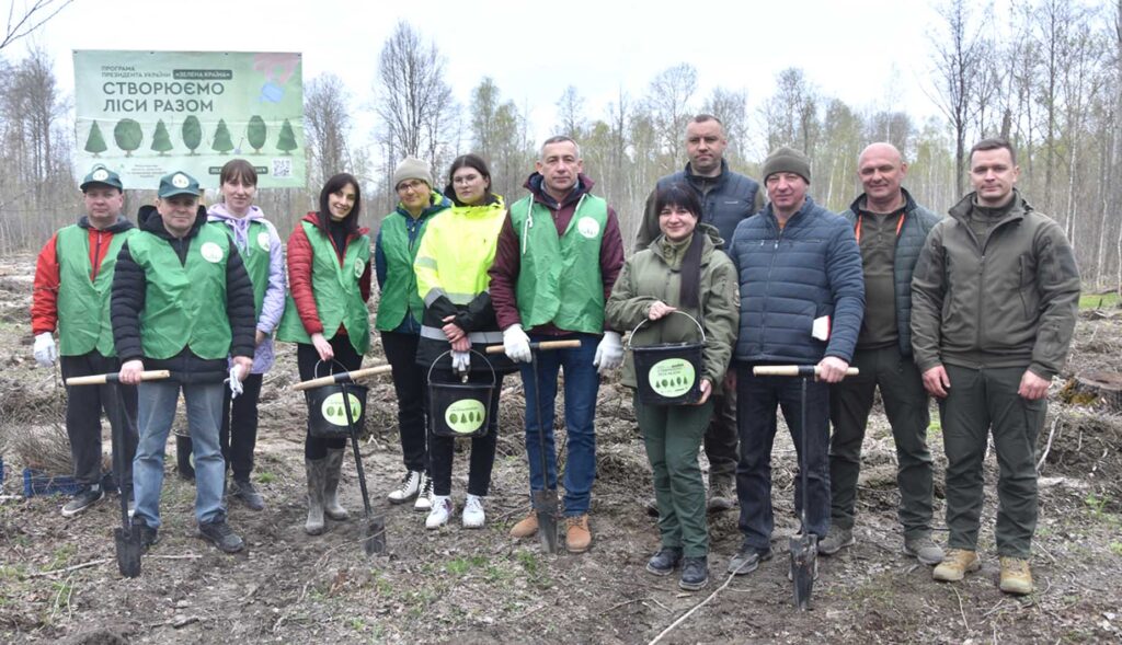 ліс3261 коростень