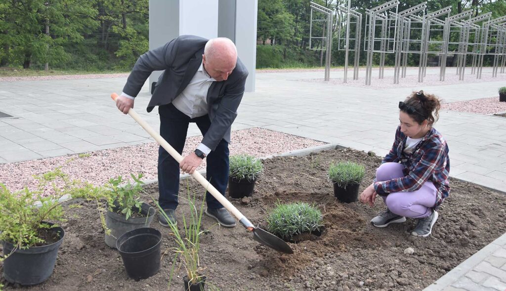 алея героїв квіти2026 1 коростень