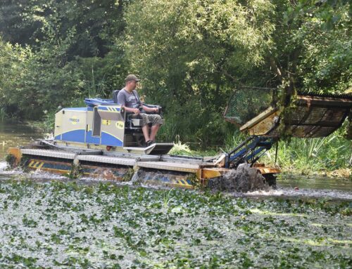 У Коростені розпочали сезон очистки річки від водоростей