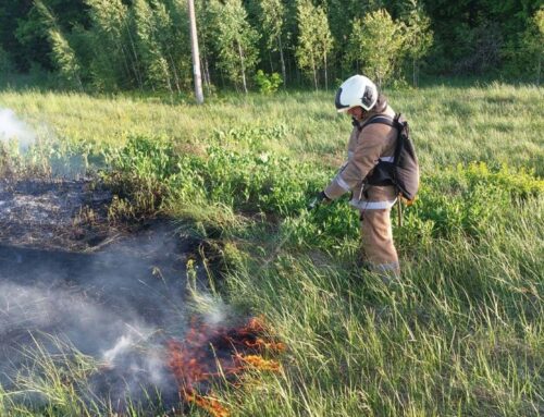 Рятувальники розповіли про пожежний стан на Коростенщині