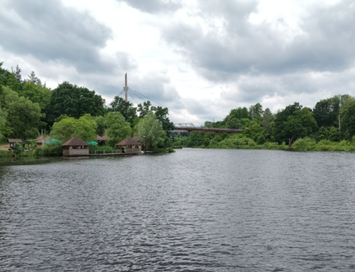 Відпочинок біля водойм: головні правила безпеки від рятувальників
