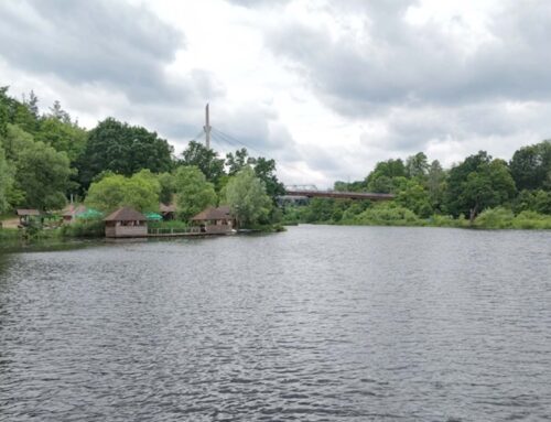 Якість води в річці Уж не відповідає нормам: що показали останні дослідження