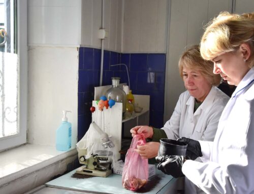 Як у Коростені контролюють безпечність ринкової продукції